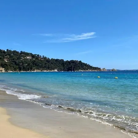 - Cavaliere 勒拉旺杜