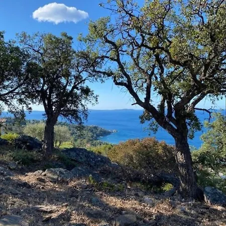 - Cavaliere 公寓 *