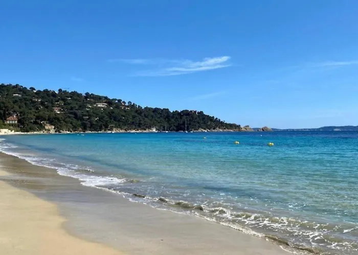 - Cavaliere Le Lavandou