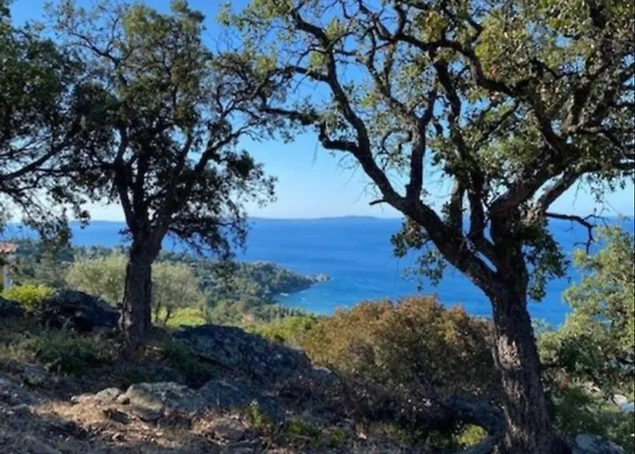 - Cavaliere Appartement *